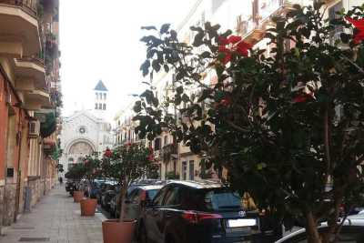 Gli "irrudicibili" di Madonnella: �Collette e fiori per abbellire il nostro dimenticato rione�